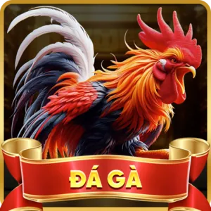 Biểu tượng email hỗ trợ Daga68